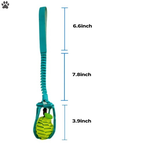 Outdoor Pet Toys